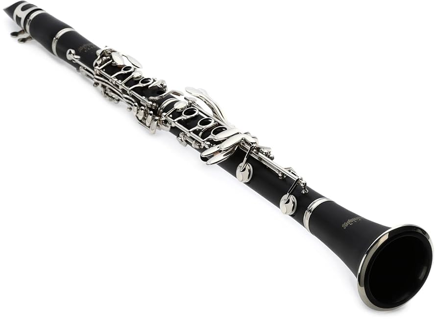 Amazon.com: Selmer Student Model CL301 Bb Clarinet : Musical